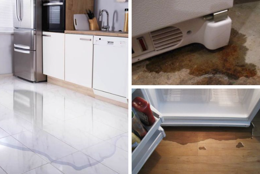 Giải Đáp Từ A-Z: Tại Sao Tủ Lạnh Bị Chảy Nước Và Cách Xử Lý Tiết Kiệm Nhất