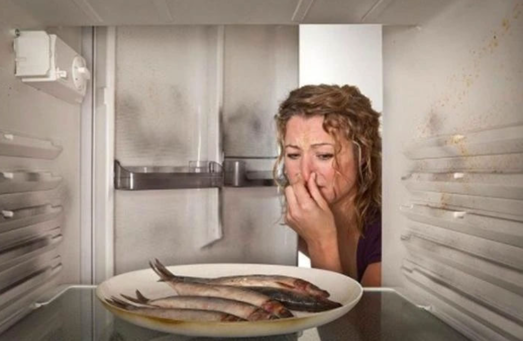 Gọi 0935 524 999 Ngay! Tủ Lạnh Không Chạy – Cứu Ngay Thực Phẩm Trước Khi Quá Muộn