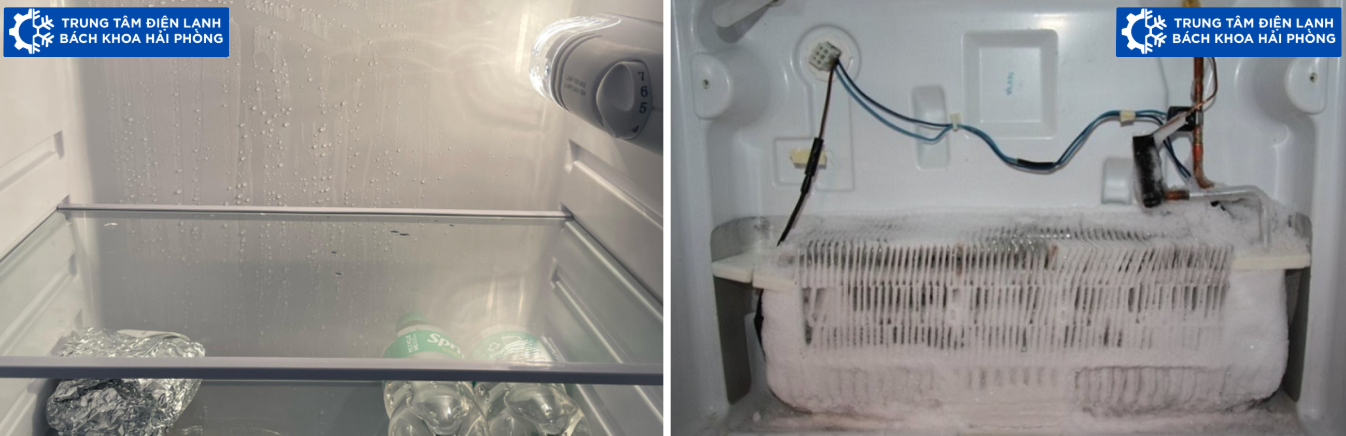 Dịch Vụ Sửa Tủ Lạnh Tại Nhà Hải Phòng